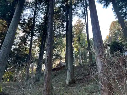 大宮温泉神社(栃木県)