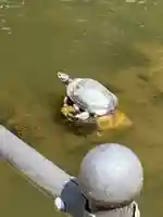 巌島神社(茨城県)