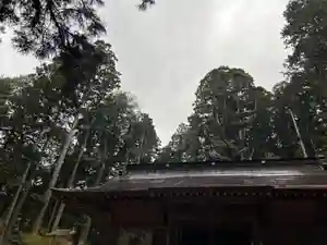 大宮温泉神社(栃木県)(2023年04月08日(土) 08時12分47秒投稿)