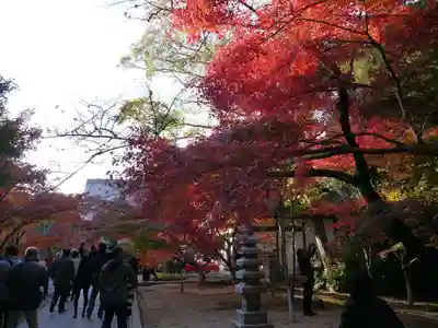 光明寺（粟生光明寺）のその他建物