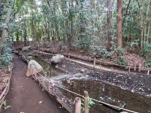 出雲大社相模分祠の自然