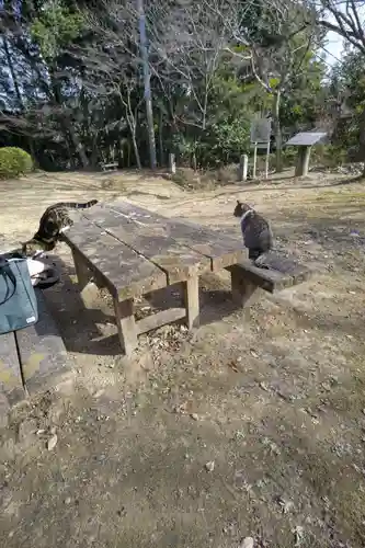 玉野御嶽神社(愛知県)