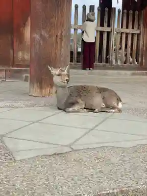 東大寺戒壇院戒壇堂(奈良県)