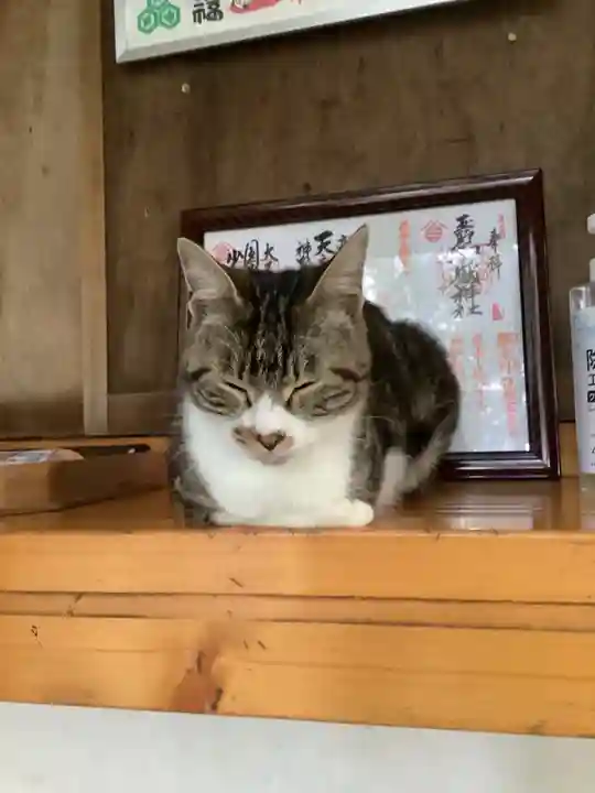 玉野御嶽神社の動物