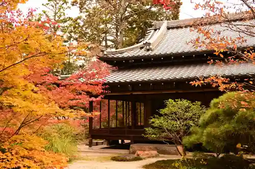 天授庵(京都府)