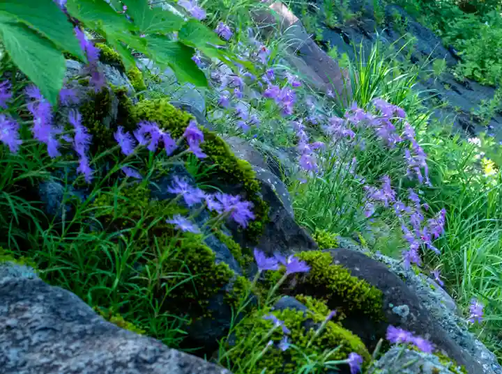 白山比咩神社 奥宮(石川県)
