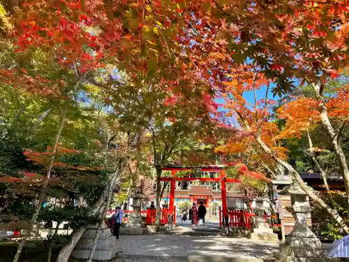 大原野神社の鳥居