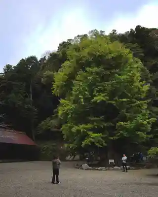 安房神社(千葉県)