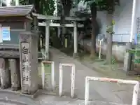 荻窪白山神社の鳥居