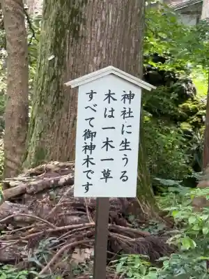 富士山東口本宮 冨士浅間神社(静岡県)