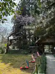 光丸山 法輪寺(栃木県)