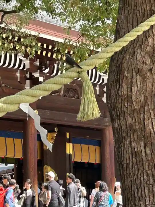 明治神宮(東京都)