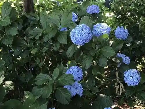 玉敷神社の自然