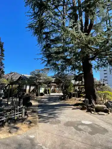 東光寺(東京都)