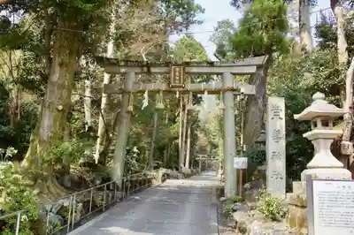 崇道神社の鳥居