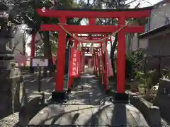 於菊稲荷神社の鳥居