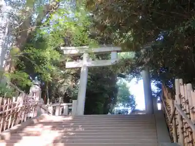 渋谷氷川神社の鳥居