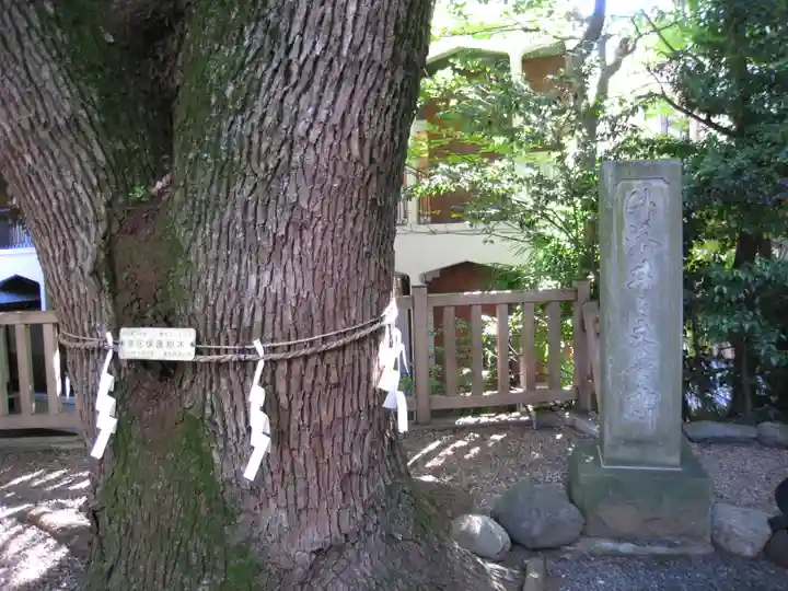 乃木神社の自然