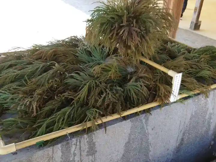 尾張大國霊神社(国府宮)の手水舎