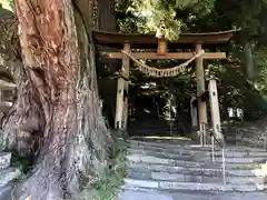 下野八幡大神社の鳥居