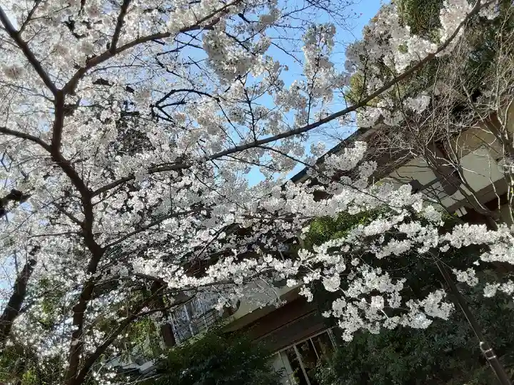 阿佐ヶ谷神明宮(東京都)