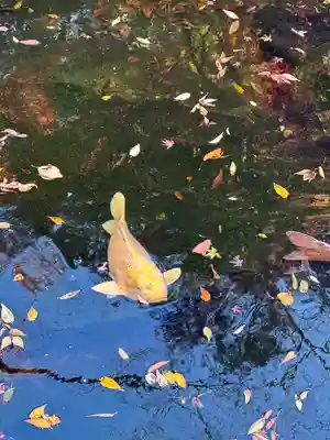 愛宕神社(東京都)