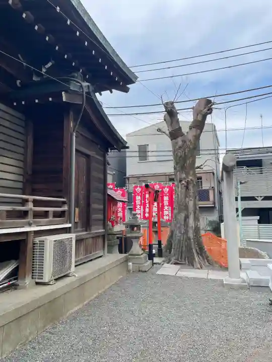 櫻木神社の{uncategorized: "未分類", other: "その他", undefined: "問題あり", building: "その他建物", grave: "お墓", sacred_gate: "鳥居", guardian: "狛犬", statue: "像", buddha: "仏像", history: "歴史", nature: "自然", garden: "庭園", animal: "動物", pagoda: "塔", temizu: "手水舎", mountain_gate: "山門・神門", sanctuary: "本殿・本堂", subordinate: "末社・摂社", art: "芸術", scenery: "景色", jizo: "地蔵", ema: "絵馬", goshuin: "御朱印", omikuji: "おみくじ", items: "授与品その他", amulet: "お守り", goshuincho: "御朱印帳", eats: "食事", festival: "お祭り", votive_dance: "神楽", shichigosan: "七五三参", wedding: "結婚式", experience: "体験その他", initially: "初詣", around: "周辺", anti_infection: "感染症対策"}
