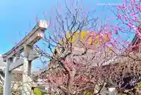 亀戸天神社(東京都)