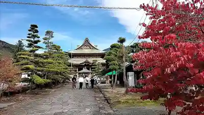 甲斐善光寺(山梨県)