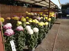 惣宗寺（佐野厄除け大師）の建物その他