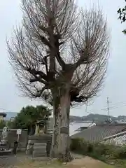 放生院常光寺(京都府)