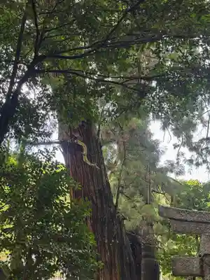 高岡神社(岡山県)