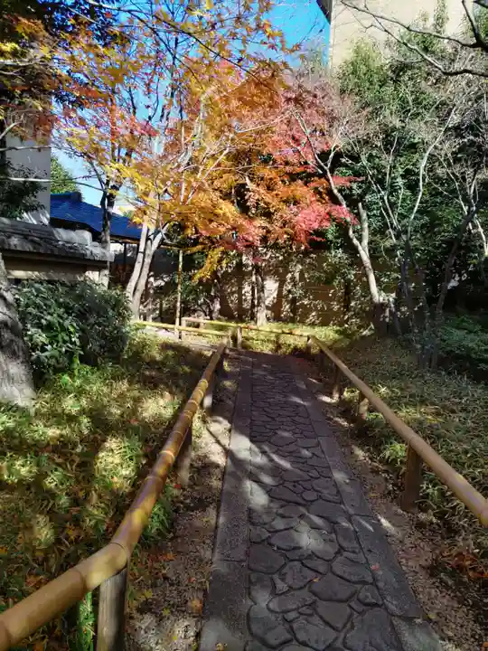 宝勝山 南藏院 蓮光寺の庭園