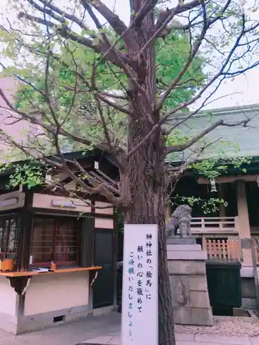 榊神社の自然