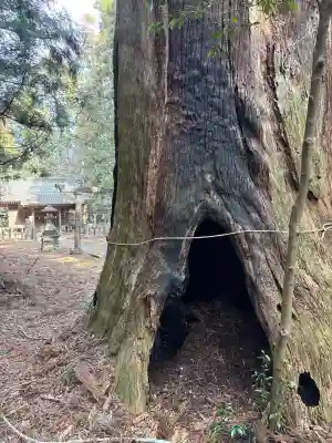 日光神社（名草中町）の{uncategorized: "未分類", other: "その他", undefined: "問題あり", building: "その他建物", grave: "お墓", sacred_gate: "鳥居", guardian: "狛犬", statue: "像", buddha: "仏像", history: "歴史", nature: "自然", garden: "庭園", animal: "動物", pagoda: "塔", temizu: "手水舎", mountain_gate: "山門・神門", sanctuary: "本殿・本堂", subordinate: "末社・摂社", art: "芸術", scenery: "景色", jizo: "地蔵", ema: "絵馬", goshuin: "御朱印", omikuji: "おみくじ", items: "授与品その他", amulet: "お守り", goshuincho: "御朱印帳", eats: "食事", festival: "お祭り", votive_dance: "神楽", shichigosan: "七五三参", wedding: "結婚式", experience: "体験その他", initially: "初詣", around: "周辺", anti_infection: "感染症対策"}