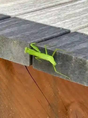 蚊里田八幡宮(長野県)