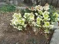 大蔵院(群馬県)