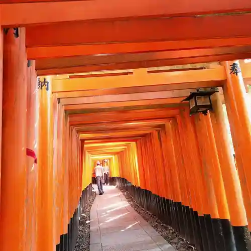 伏見稲荷大社の鳥居