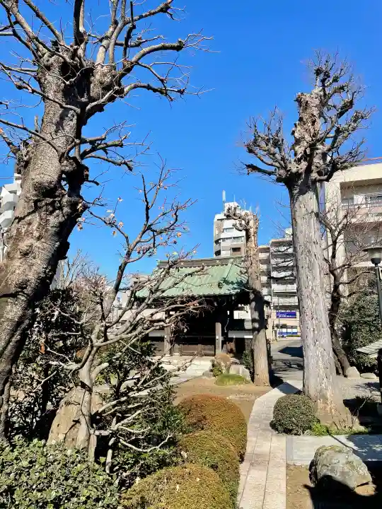 蓮慶寺の{uncategorized: "未分類", other: "その他", undefined: "問題あり", building: "その他建物", grave: "お墓", sacred_gate: "鳥居", guardian: "狛犬", statue: "像", buddha: "仏像", history: "歴史", nature: "自然", garden: "庭園", animal: "動物", pagoda: "塔", temizu: "手水舎", mountain_gate: "山門・神門", sanctuary: "本殿・本堂", subordinate: "末社・摂社", art: "芸術", scenery: "景色", jizo: "地蔵", ema: "絵馬", goshuin: "御朱印", omikuji: "おみくじ", items: "授与品その他", amulet: "お守り", goshuincho: "御朱印帳", eats: "食事", festival: "お祭り", votive_dance: "神楽", shichigosan: "七五三参", wedding: "結婚式", experience: "体験その他", initially: "初詣", around: "周辺", anti_infection: "感染症対策"}