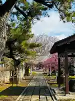 菅原神社の{uncategorized: "未分類", other: "その他", undefined: "問題あり", building: "その他建物", grave: "お墓", sacred_gate: "鳥居", guardian: "狛犬", statue: "像", buddha: "仏像", history: "歴史", nature: "自然", garden: "庭園", animal: "動物", pagoda: "塔", temizu: "手水舎", mountain_gate: "山門・神門", sanctuary: "本殿・本堂", subordinate: "末社・摂社", art: "芸術", scenery: "景色", jizo: "地蔵", ema: "絵馬", goshuin: "御朱印", omikuji: "おみくじ", items: "授与品その他", amulet: "お守り", goshuincho: "御朱印帳", eats: "食事", festival: "お祭り", votive_dance: "神楽", shichigosan: "七五三参", wedding: "結婚式", experience: "体験その他", initially: "初詣", around: "周辺", anti_infection: "感染症対策"}