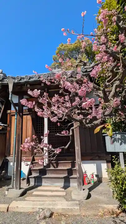浄安寺(京都府)