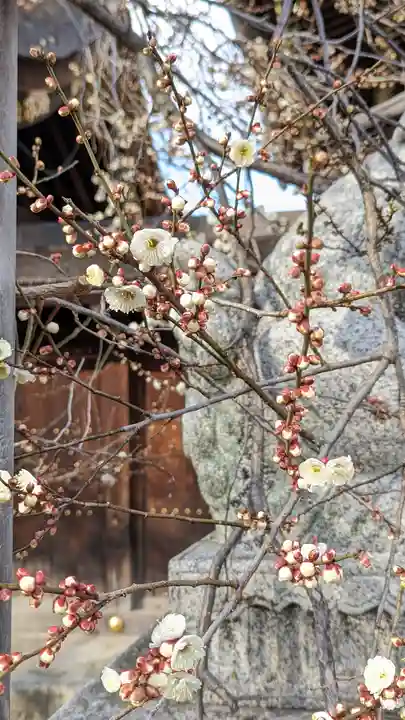 北野天満宮(京都府)