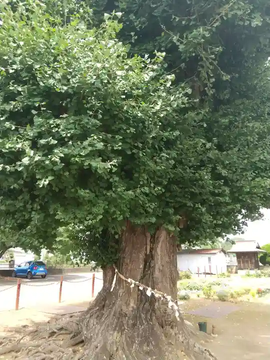 長谷寺(茨城県)
