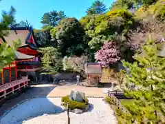 日御碕神社(島根県)