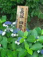 長谷寺(神奈川県)