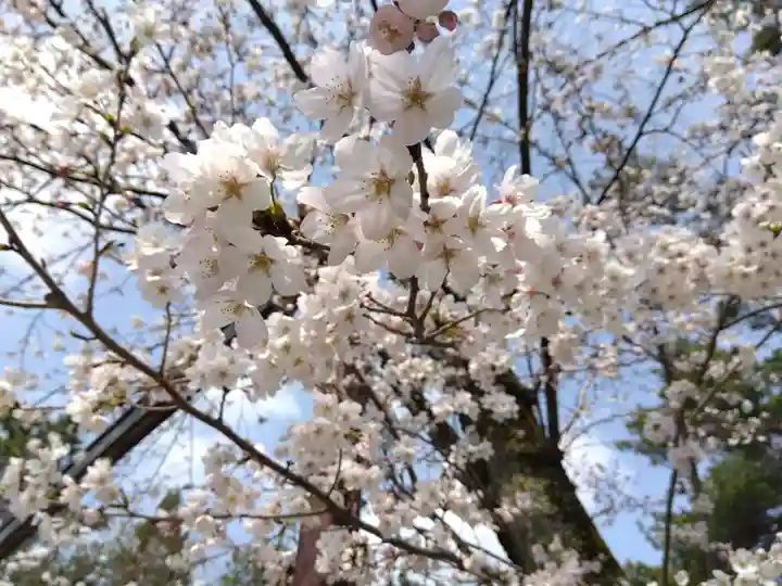 福井県護国神社(福井県)
