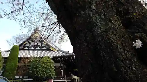 總持寺のその他建物