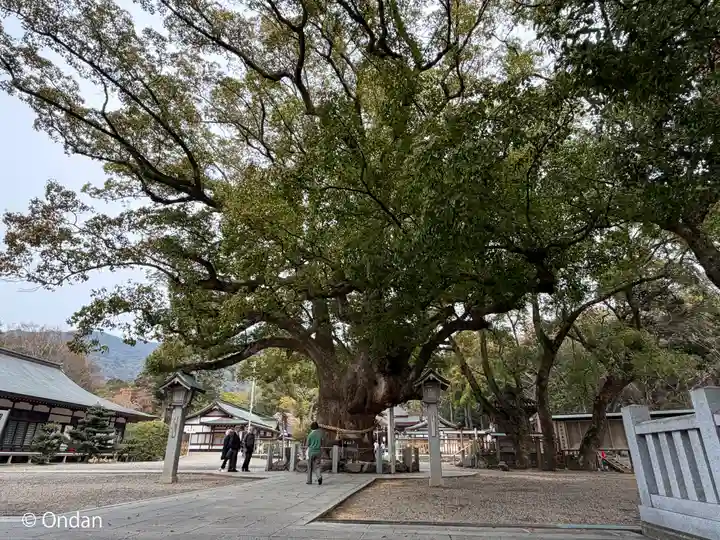 大麻比古神社(徳島県)