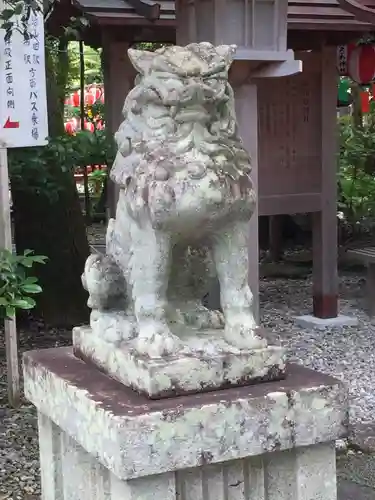 猿田彦神社の狛犬