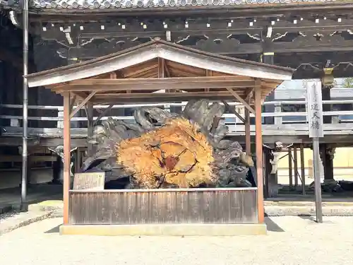 本山専修寺(三重県)
